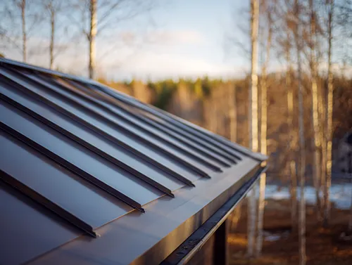 Metal Roofing